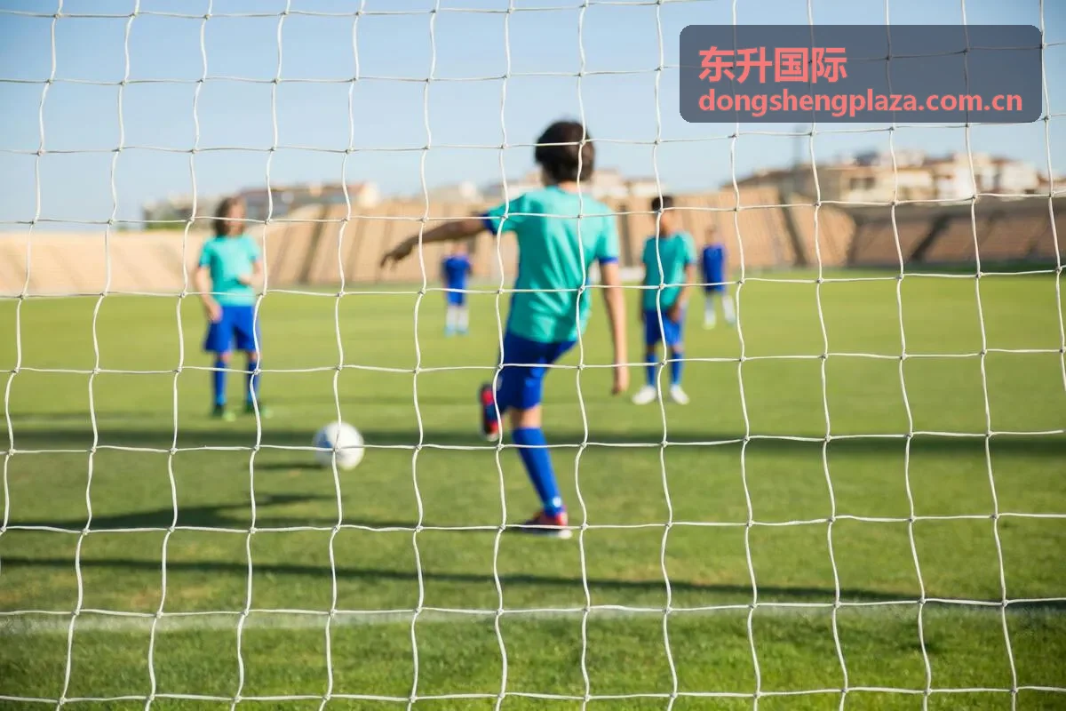 东升国际品牌建设服务